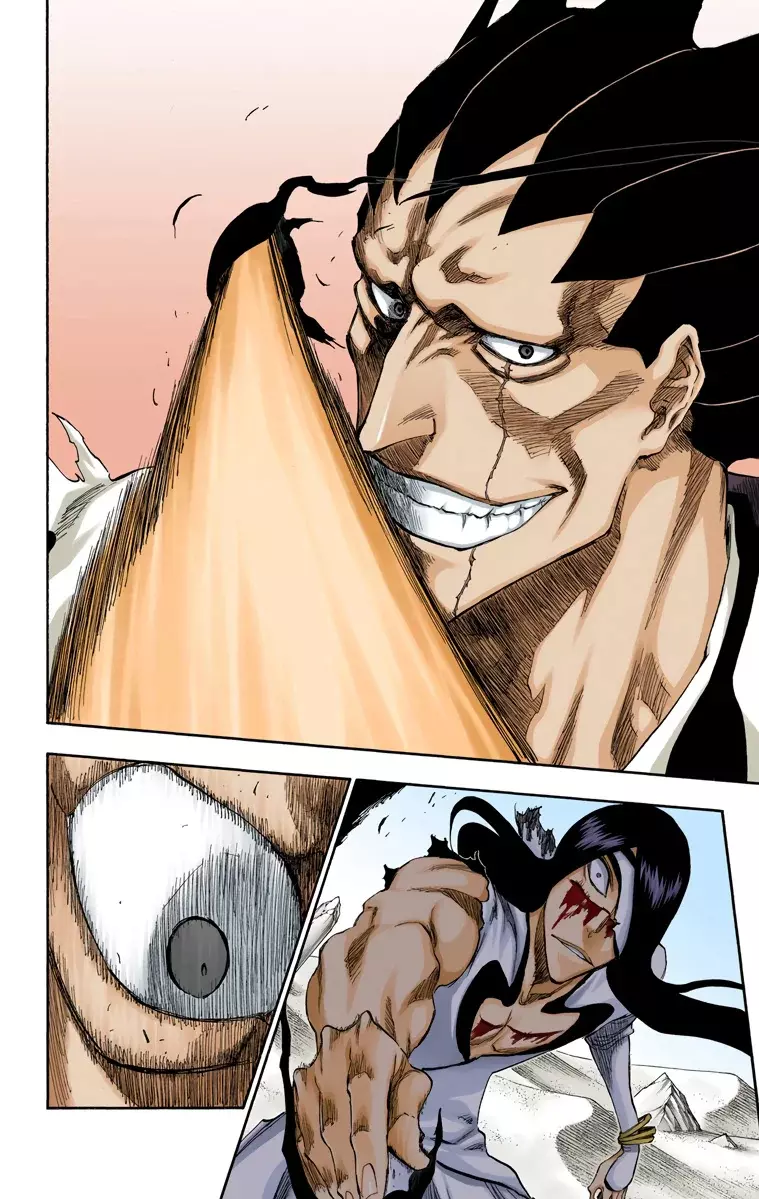 Bleach (Color) capítulo 308, página 19