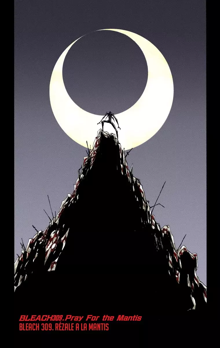 Bleach (Color) capítulo 309, página 9