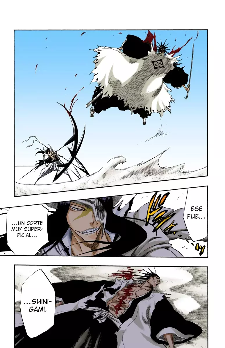 Bleach (Color) capítulo 309, página 19