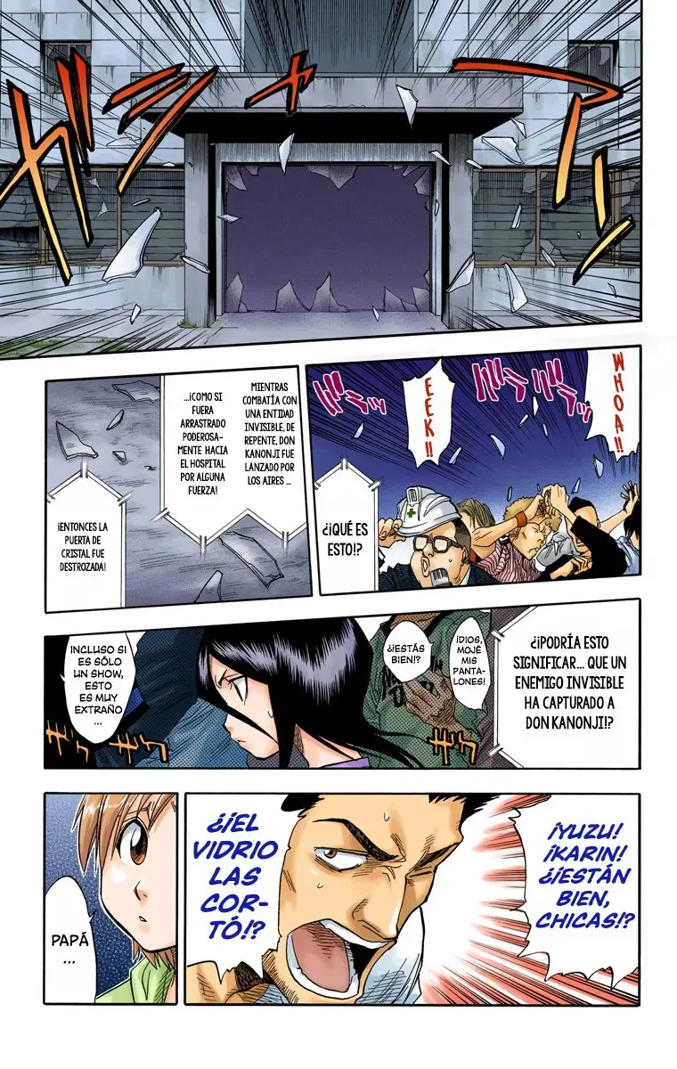 Bleach (Color) capítulo 31, página 6