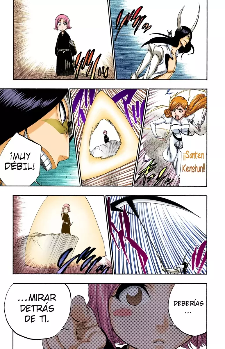 Bleach (Color) capítulo 310, página 8