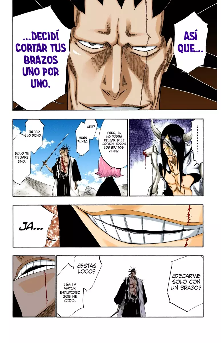 Bleach (Color) capítulo 310, página 13