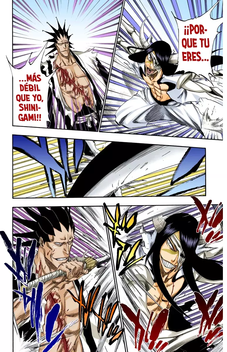Bleach (Color) capítulo 310, página 15