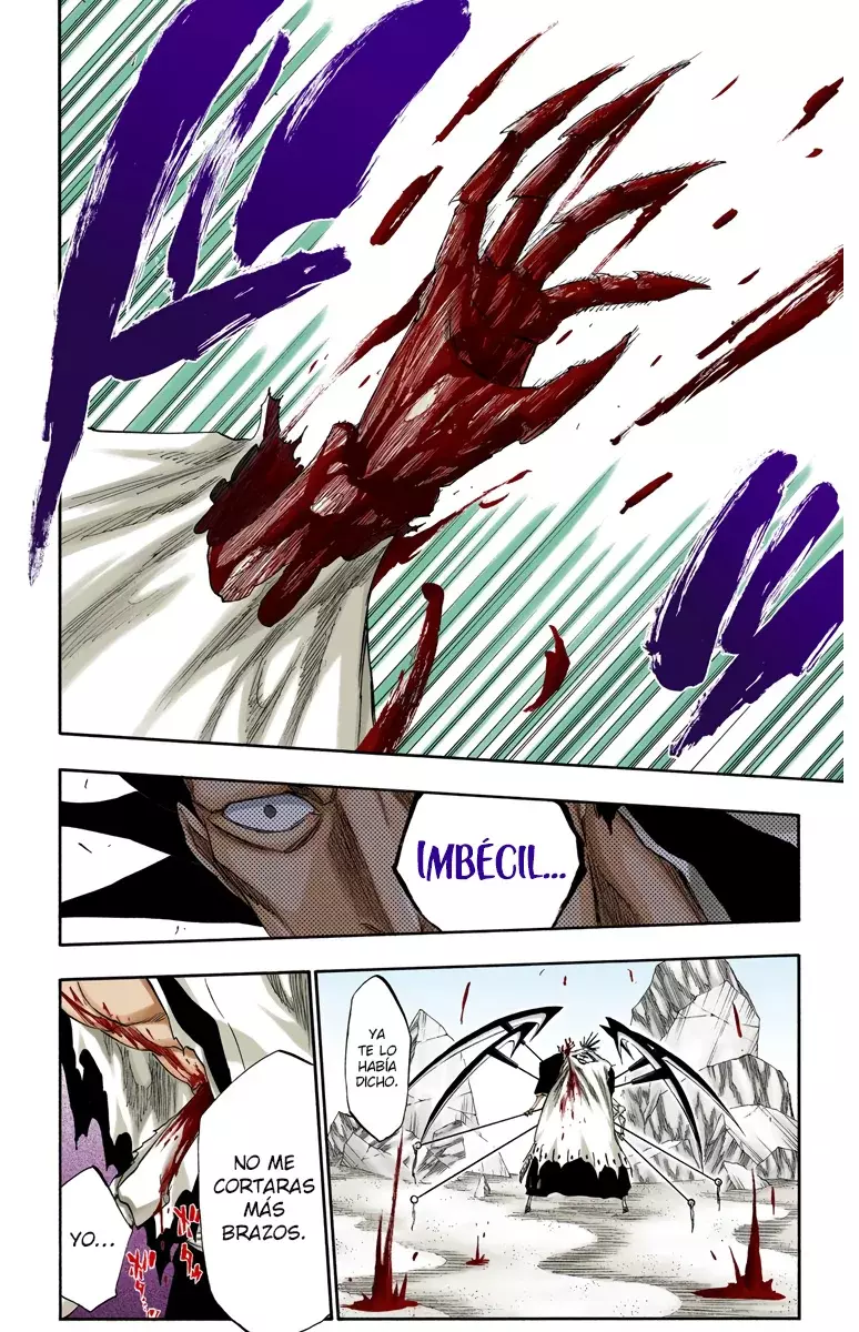 Bleach (Color) capítulo 310, página 19
