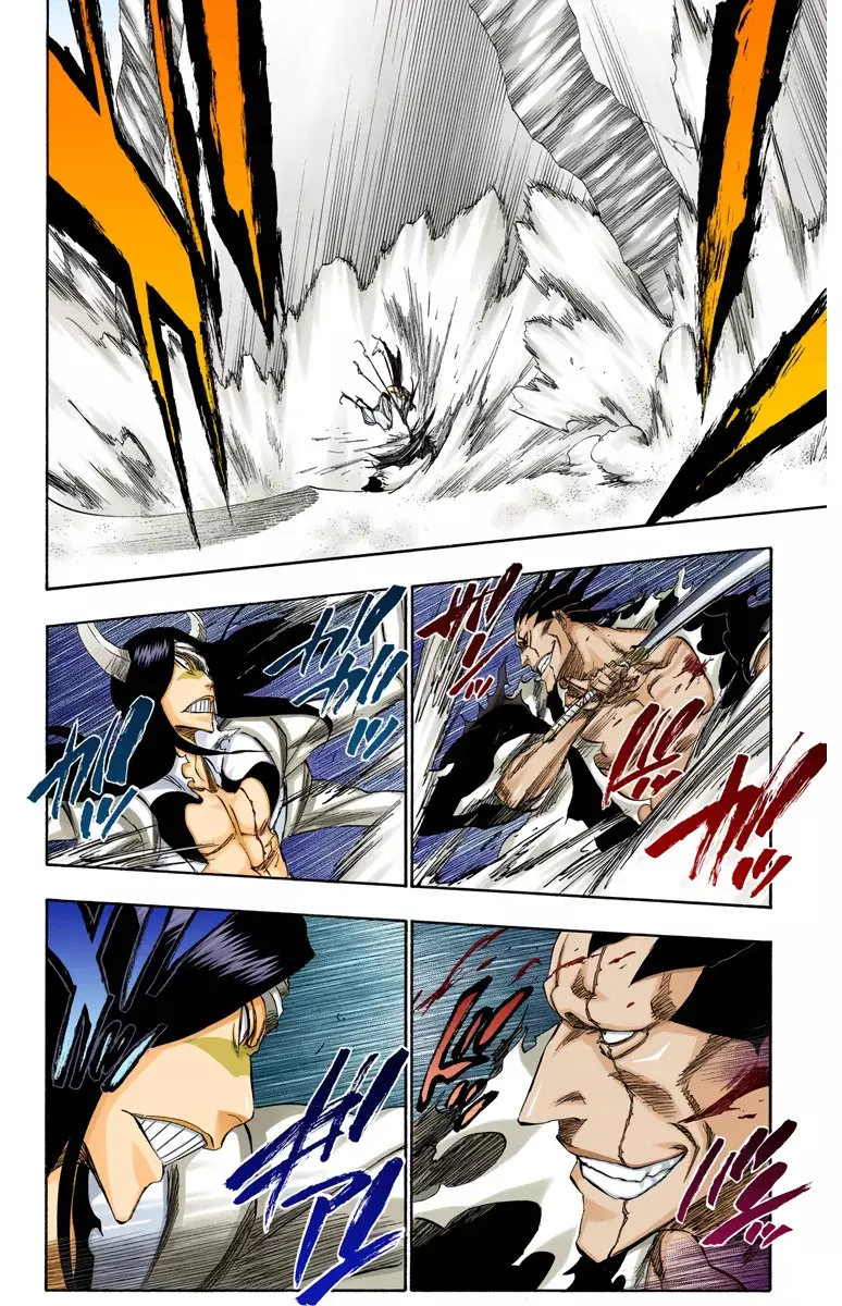 Bleach (Color) capítulo 311, página 13