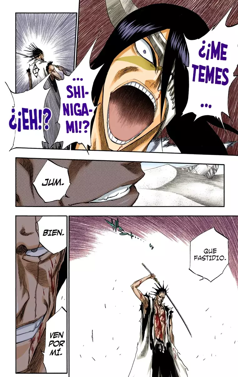 Bleach (Color) capítulo 312, página 11