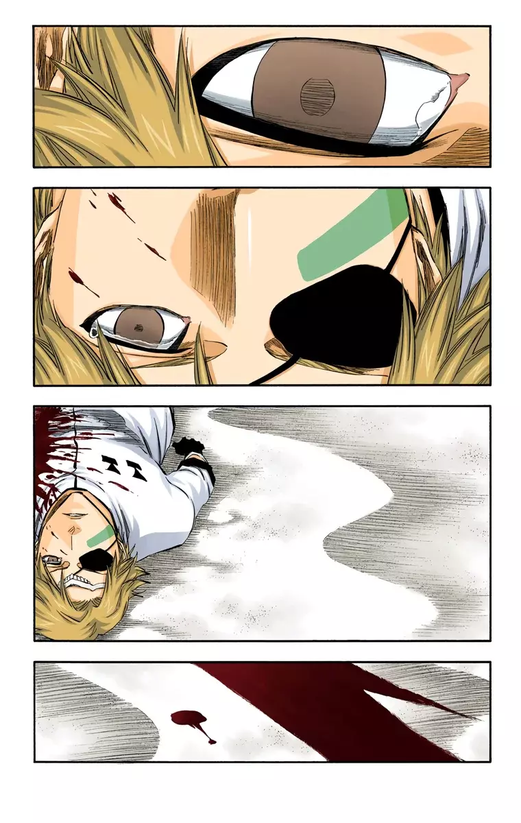 Bleach (Color) capítulo 313, página 8