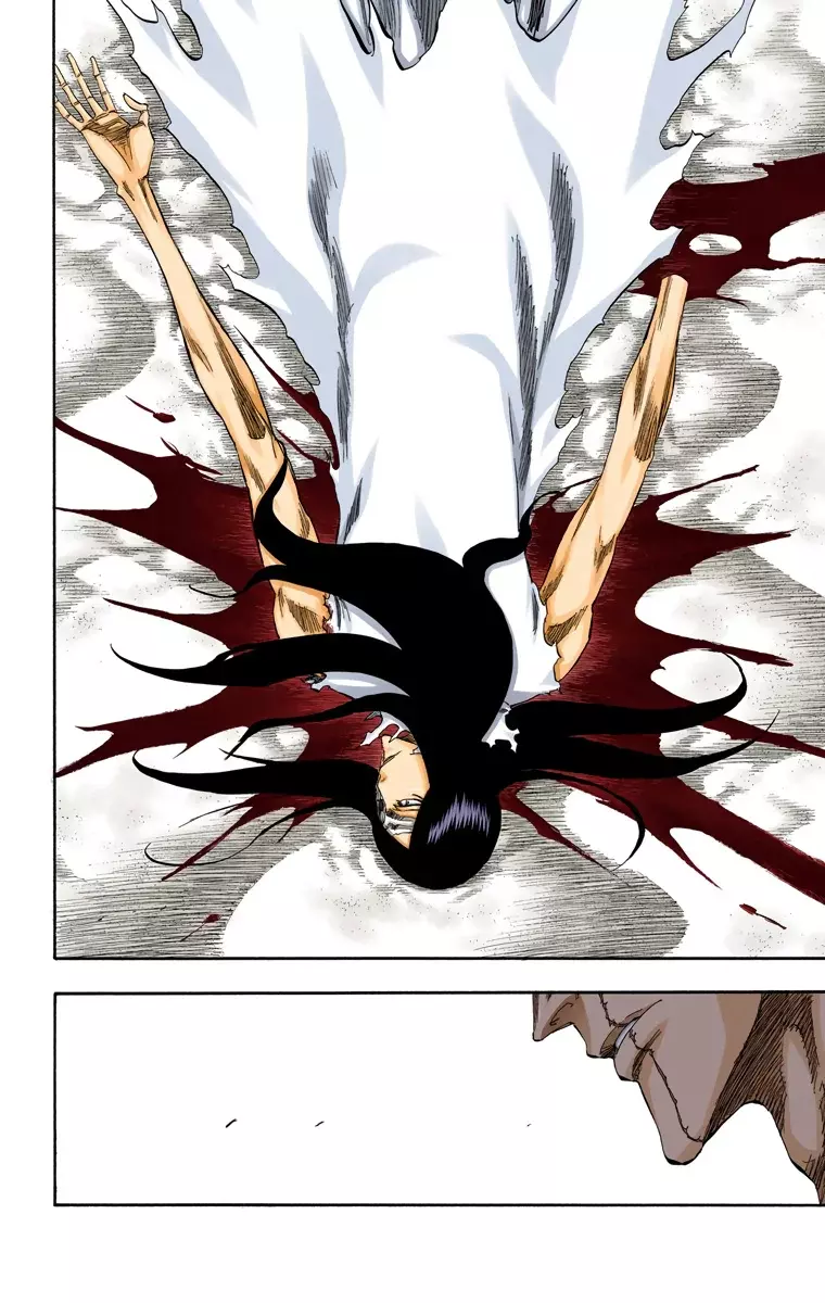 Bleach (Color) capítulo 313, página 9