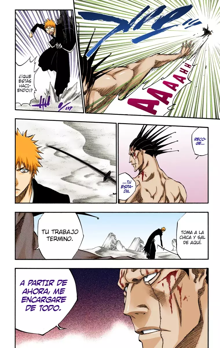 Bleach (Color) capítulo 313, página 13