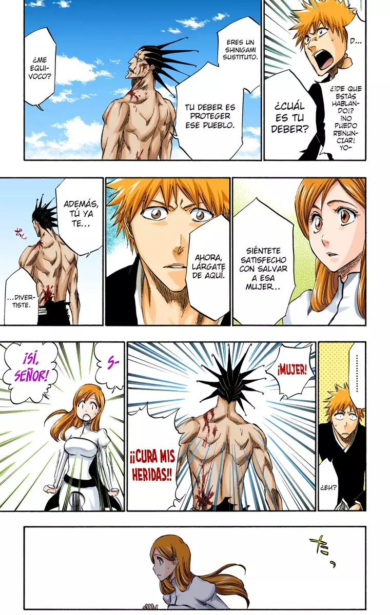 Bleach (Color) capítulo 313, página 14