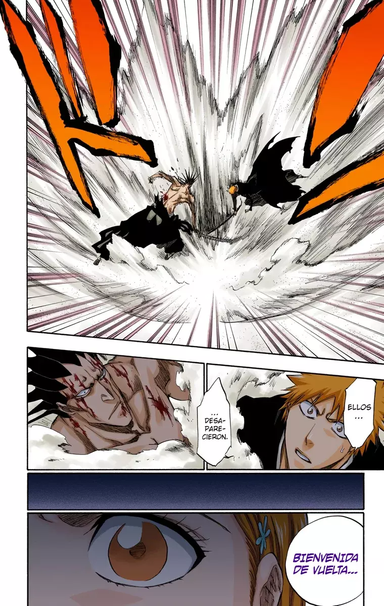 Bleach (Color) capítulo 313, página 17