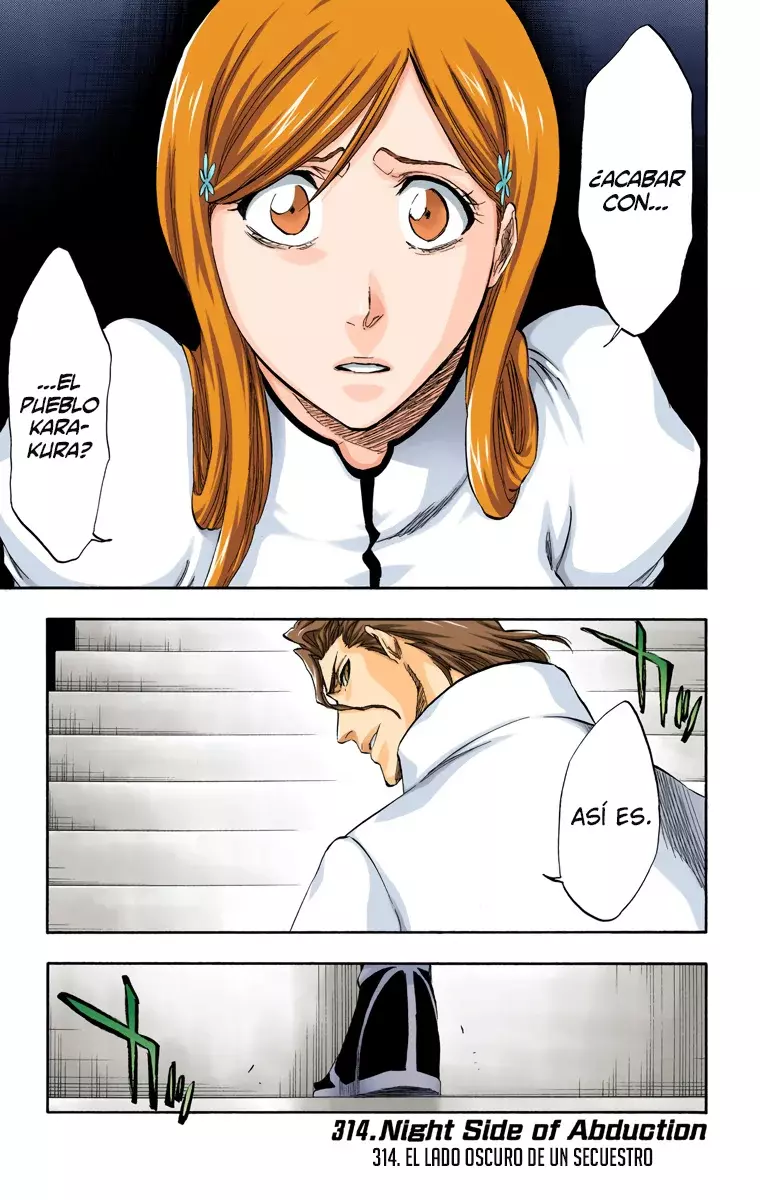 Bleach (Color) capítulo 314, página 2