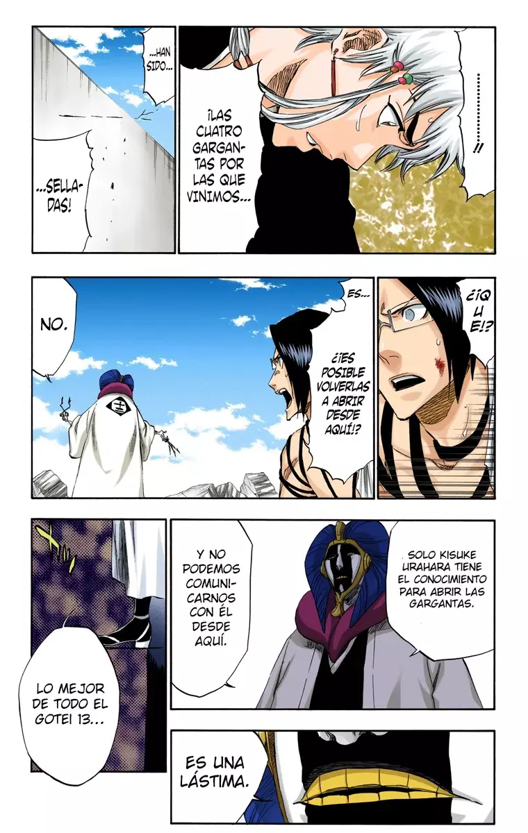 Bleach (Color) capítulo 314, página 12