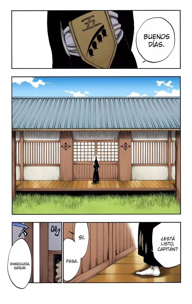 Bleach (Color) capítulo 315.1, página 9