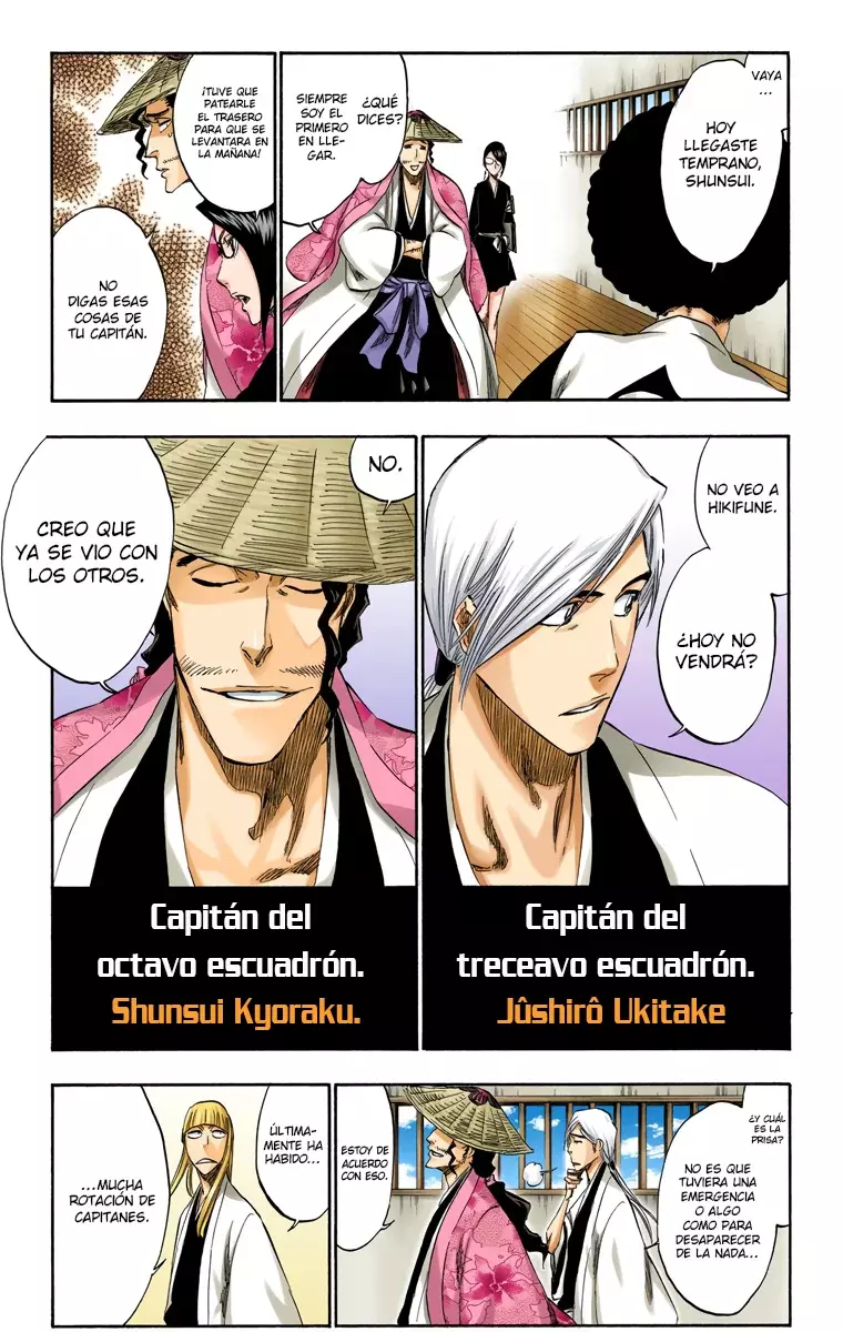 Bleach (Color) capítulo 315.1, página 17