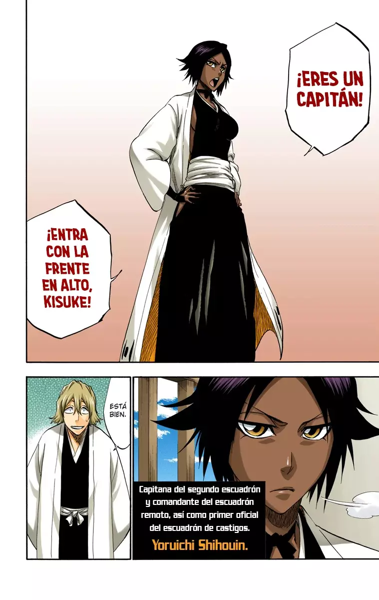 Bleach (Color) capítulo 315.2, página 6