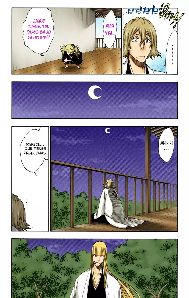 Bleach (Color) capítulo 315.2, página 15