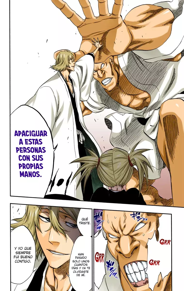 Bleach (Color) capítulo 315.3, página 17