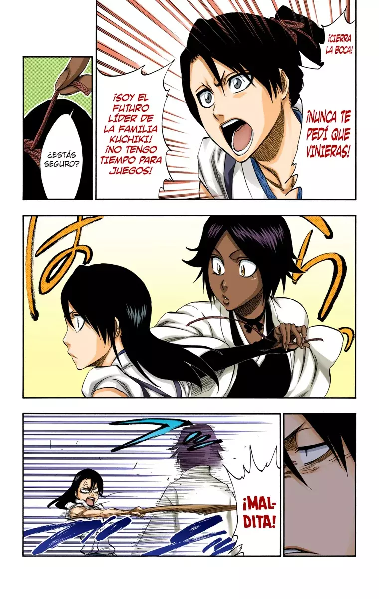 Bleach (Color) capítulo 315.4, página 13
