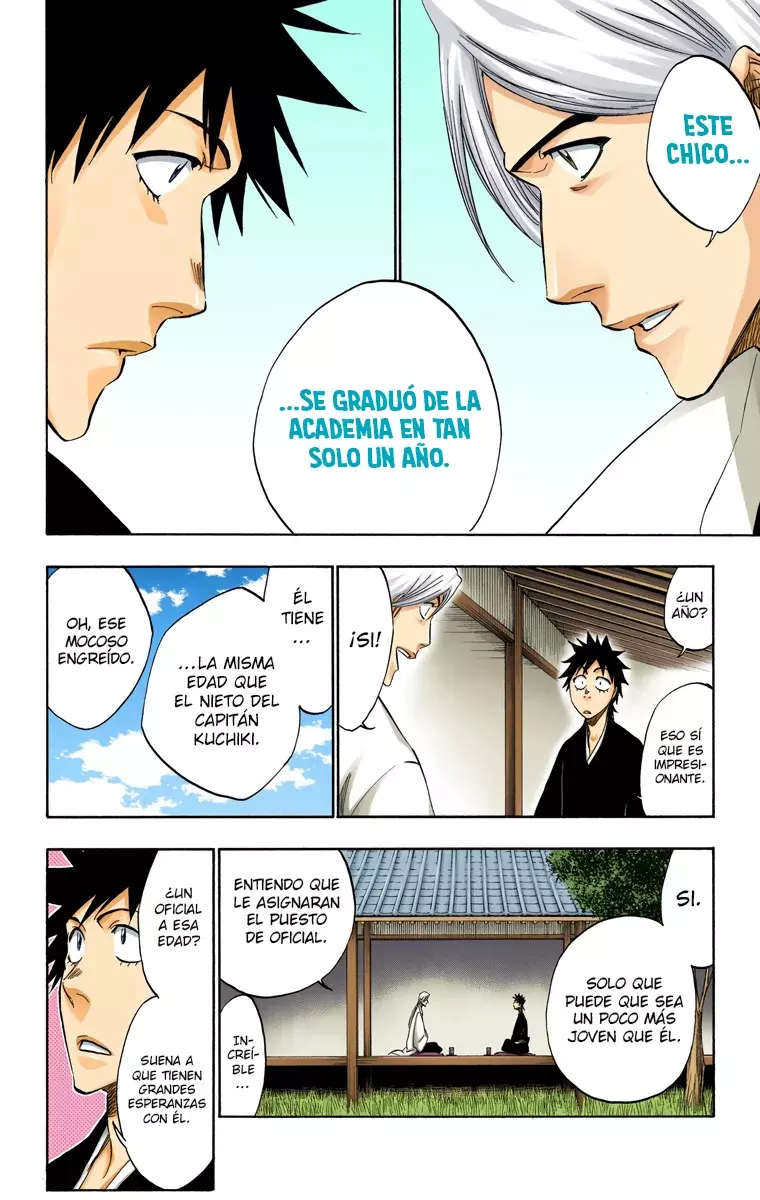 Bleach (Color) capítulo 315.4, página 17
