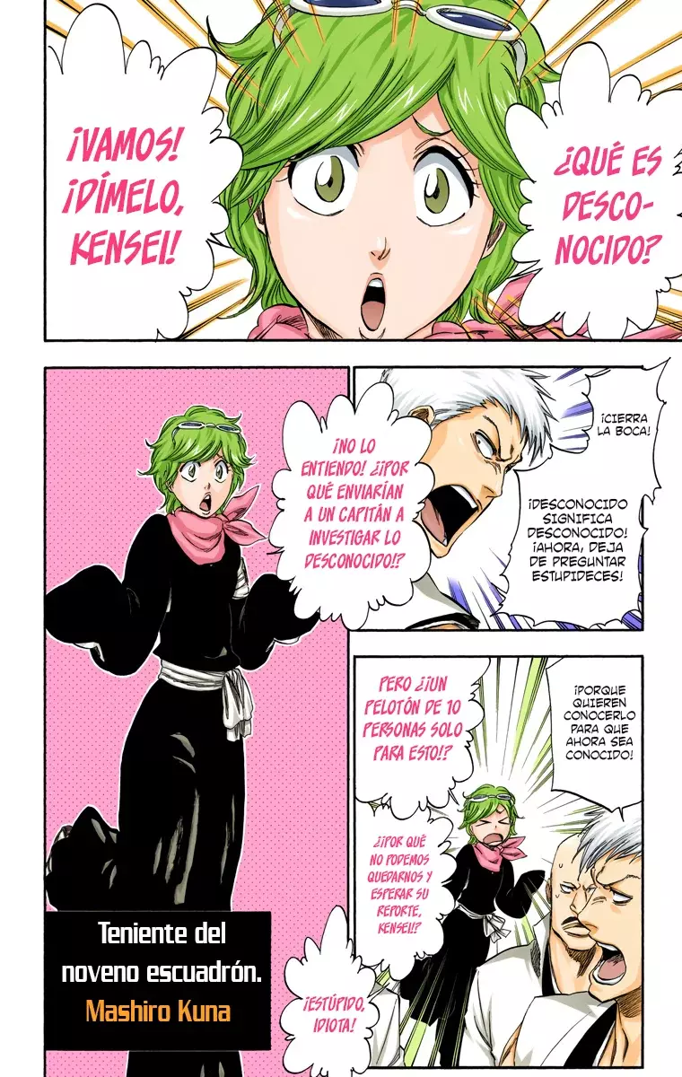 Bleach (Color) capítulo 315.5, página 11