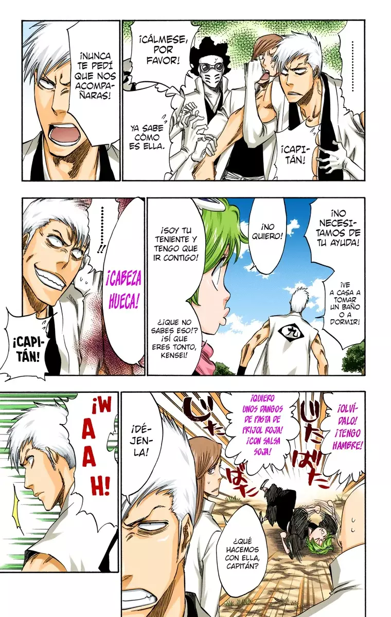 Bleach (Color) capítulo 315.5, página 12
