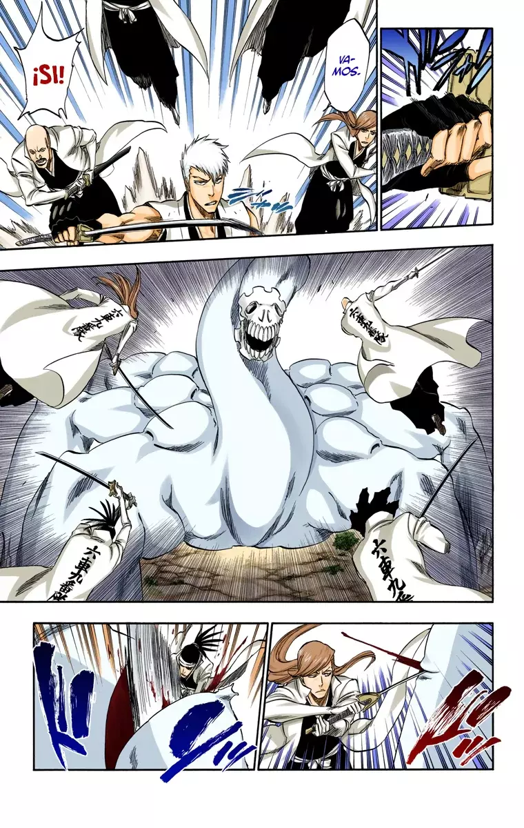 Bleach (Color) capítulo 315.5, página 14