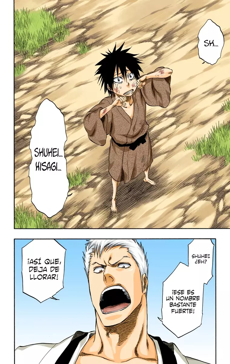 Bleach (Color) capítulo 315.5, página 19