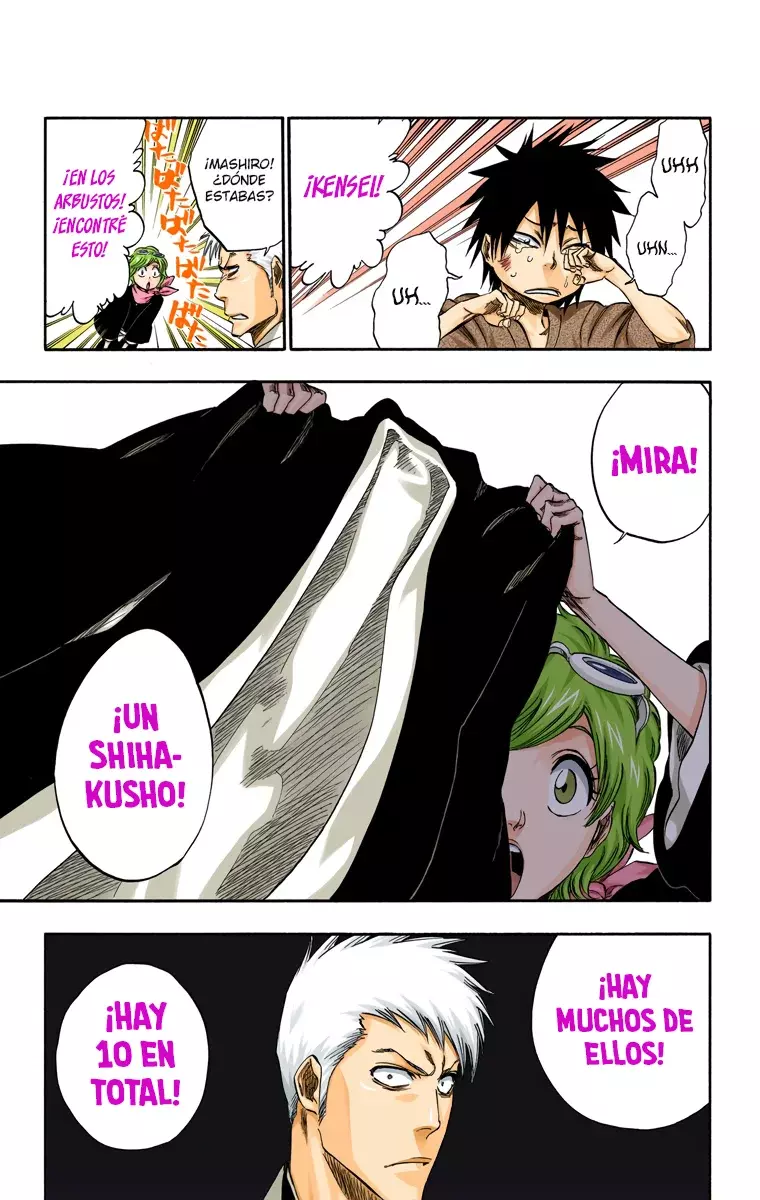 Bleach (Color) capítulo 315.5, página 20