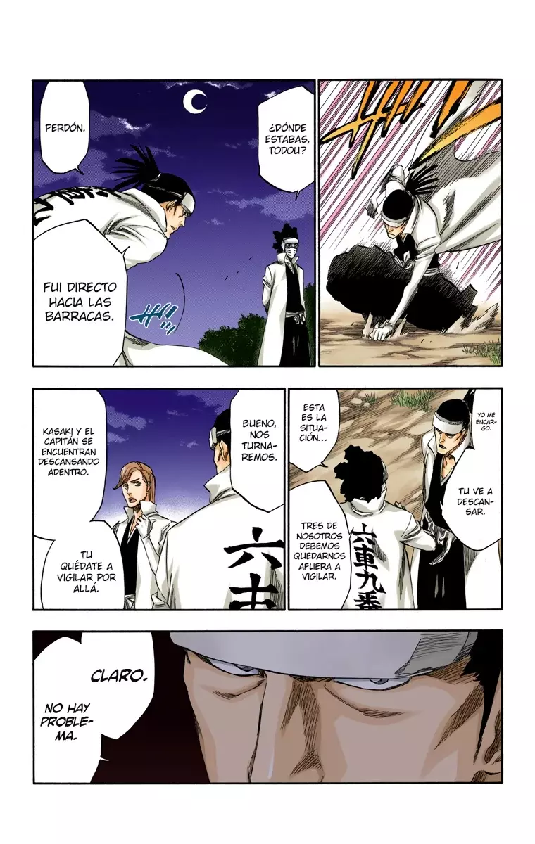 Bleach (Color) capítulo 315.6, página 15