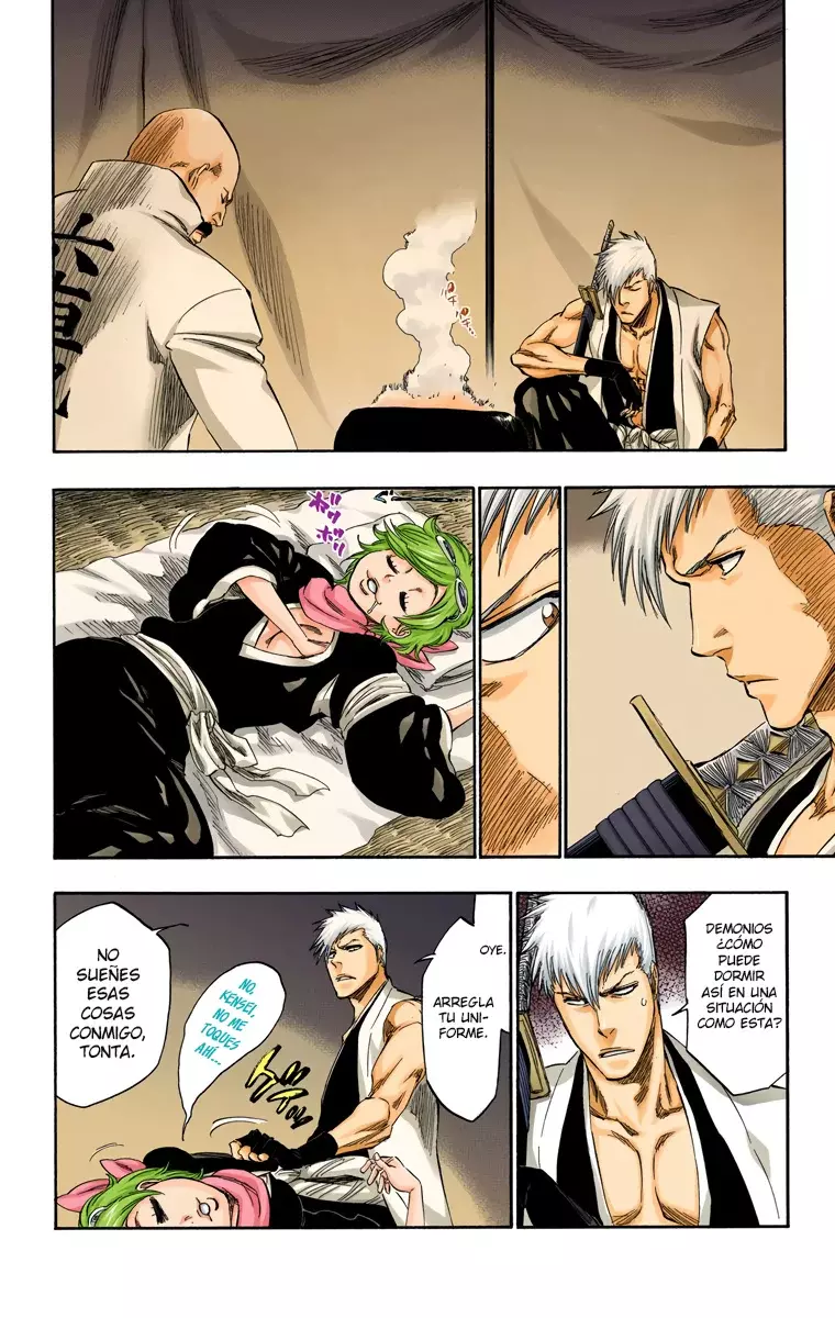 Bleach (Color) capítulo 315.6, página 16