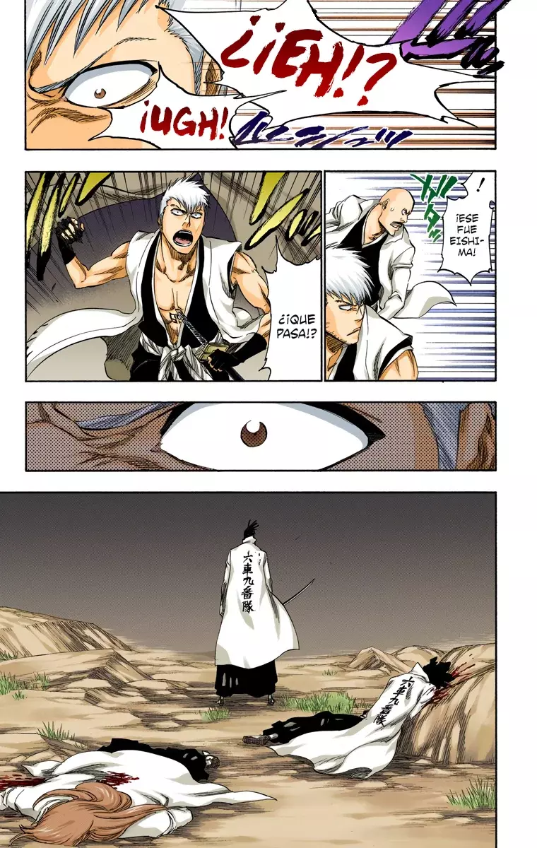 Bleach (Color) capítulo 315.6, página 17