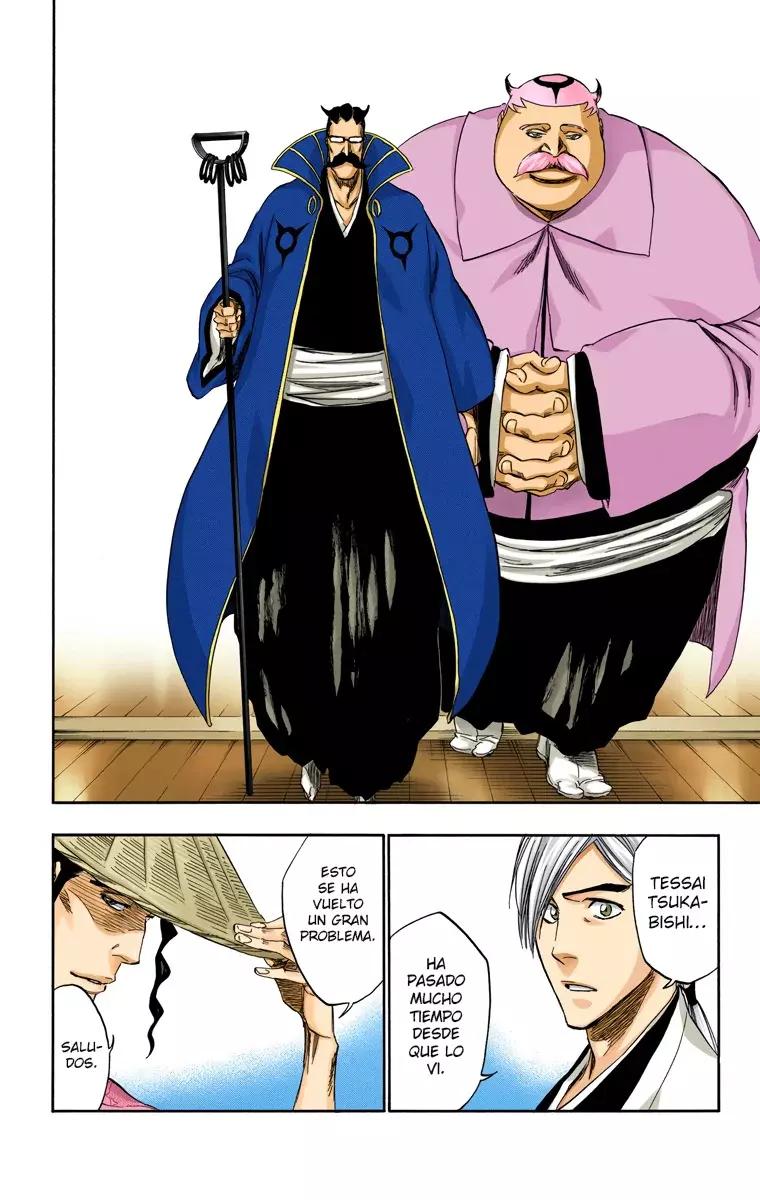 Bleach (Color) capítulo 315.7, página 9