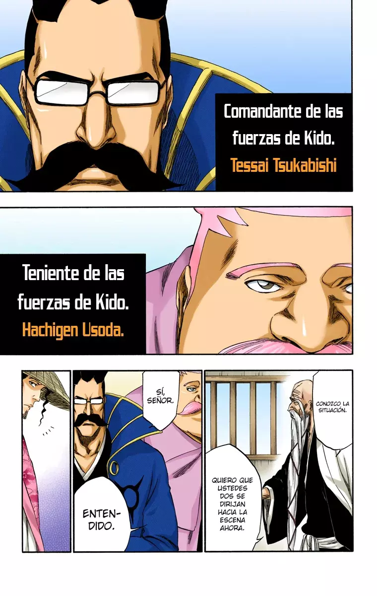 Bleach (Color) capítulo 315.7, página 10