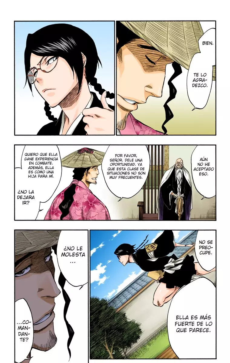 Bleach (Color) capítulo 315.7, página 13