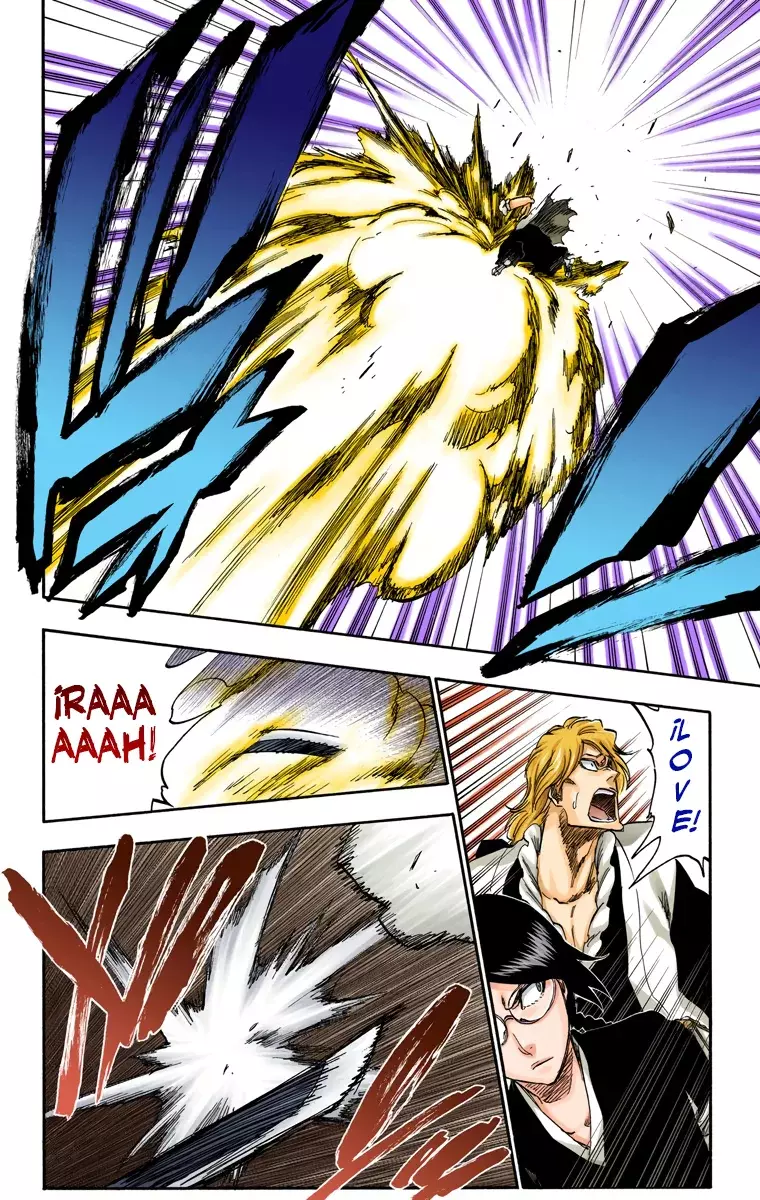 Bleach (Color) capítulo 315.8, página 7