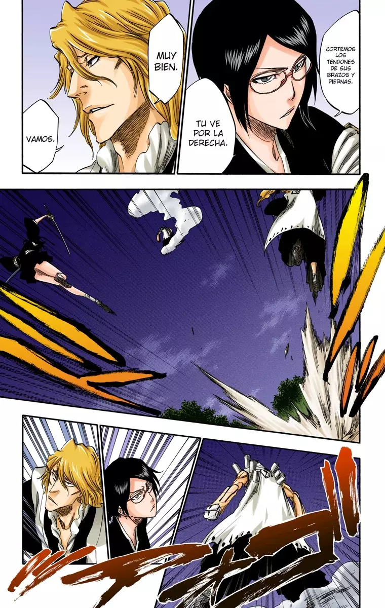 Bleach (Color) capítulo 315.8, página 10