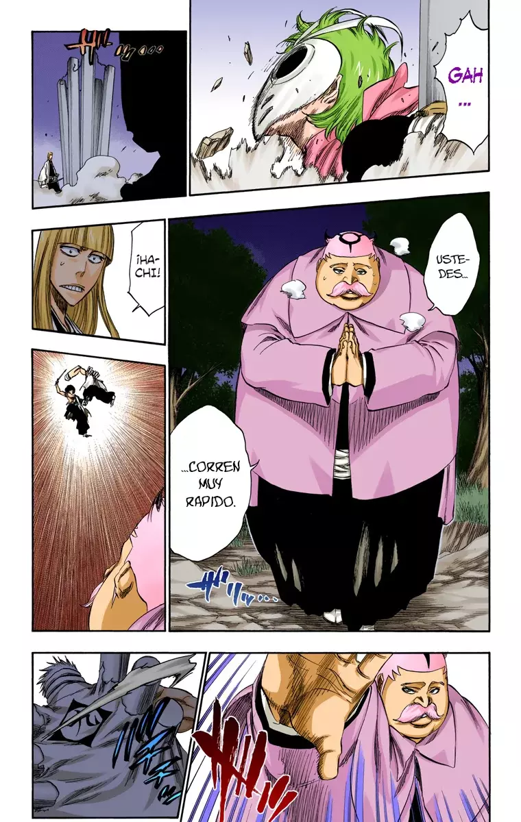 Bleach (Color) capítulo 315.8, página 16