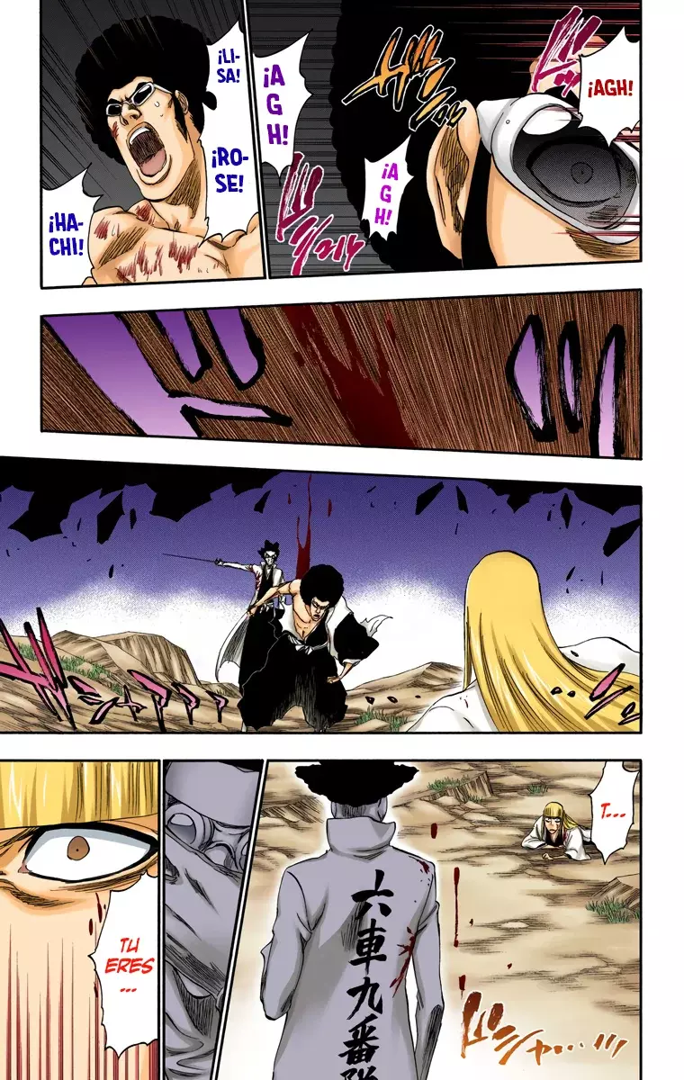 Bleach (Color) capítulo 315.9, página 16