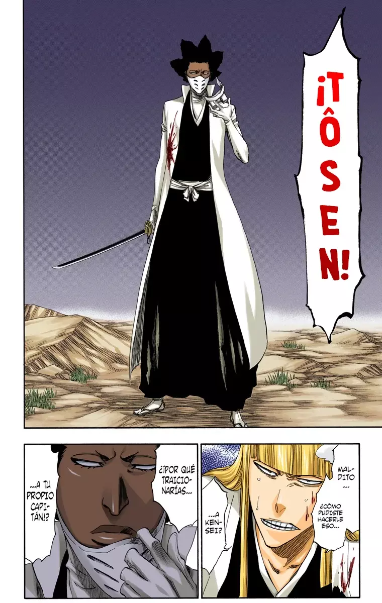 Bleach (Color) capítulo 315.9, página 17