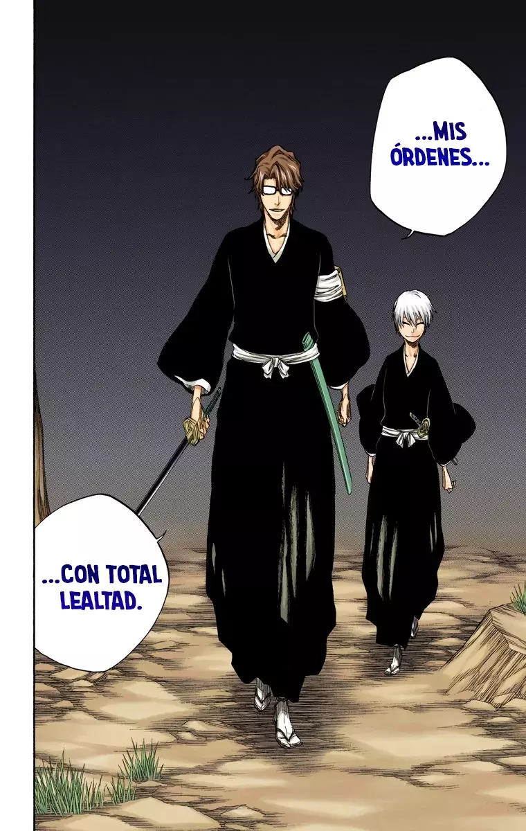 Bleach (Color) capítulo 315.9, página 19