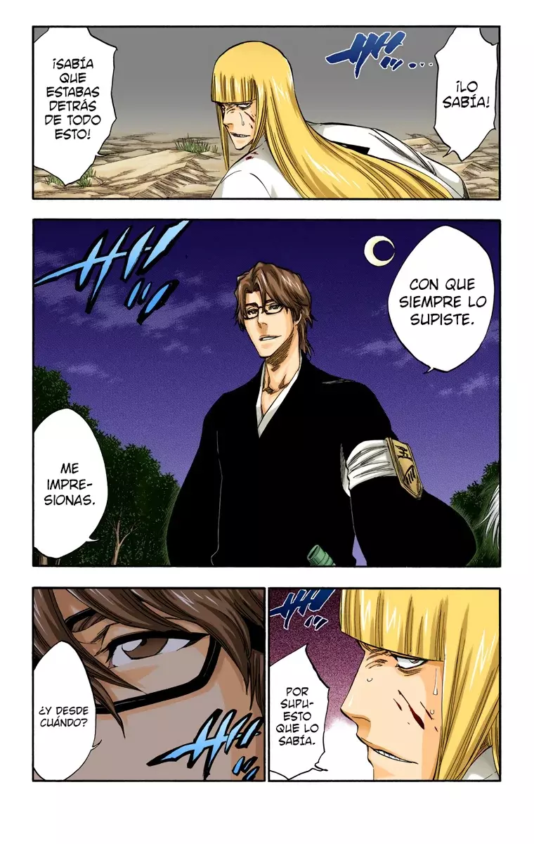 Bleach (Color) capítulo 315.95, página 9