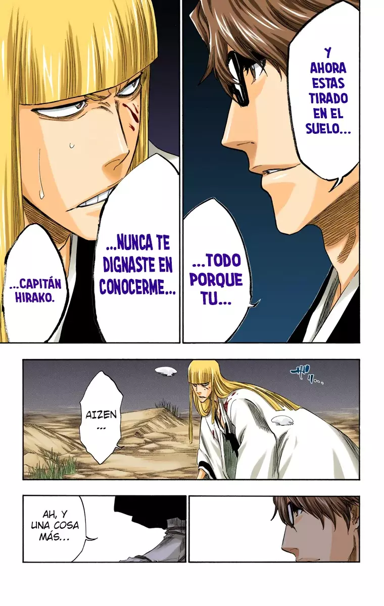 Bleach (Color) capítulo 315.95, página 15