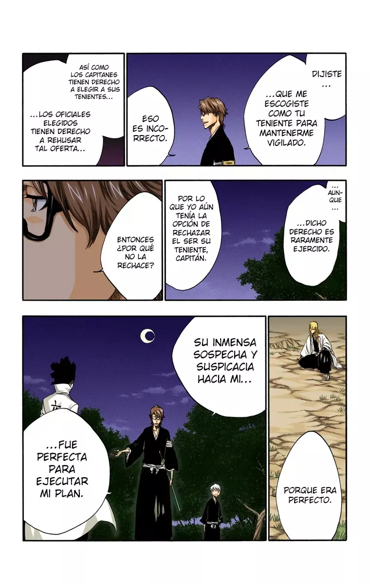 Bleach (Color) capítulo 315.95, página 16