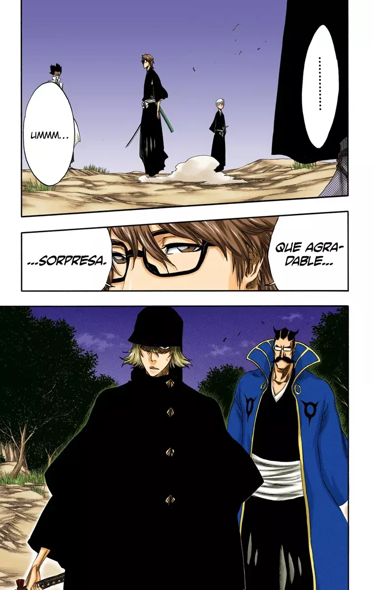 Bleach (Color) capítulo 315.95, página 27