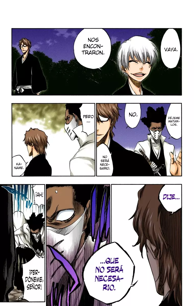 Bleach (Color) capítulo 315.96, página 4
