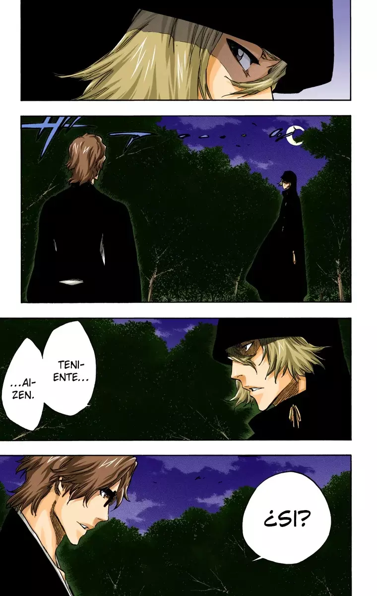 Bleach (Color) capítulo 315.96, página 6