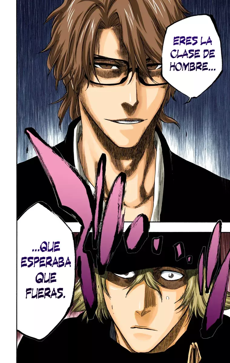 Bleach (Color) capítulo 315.96, página 9