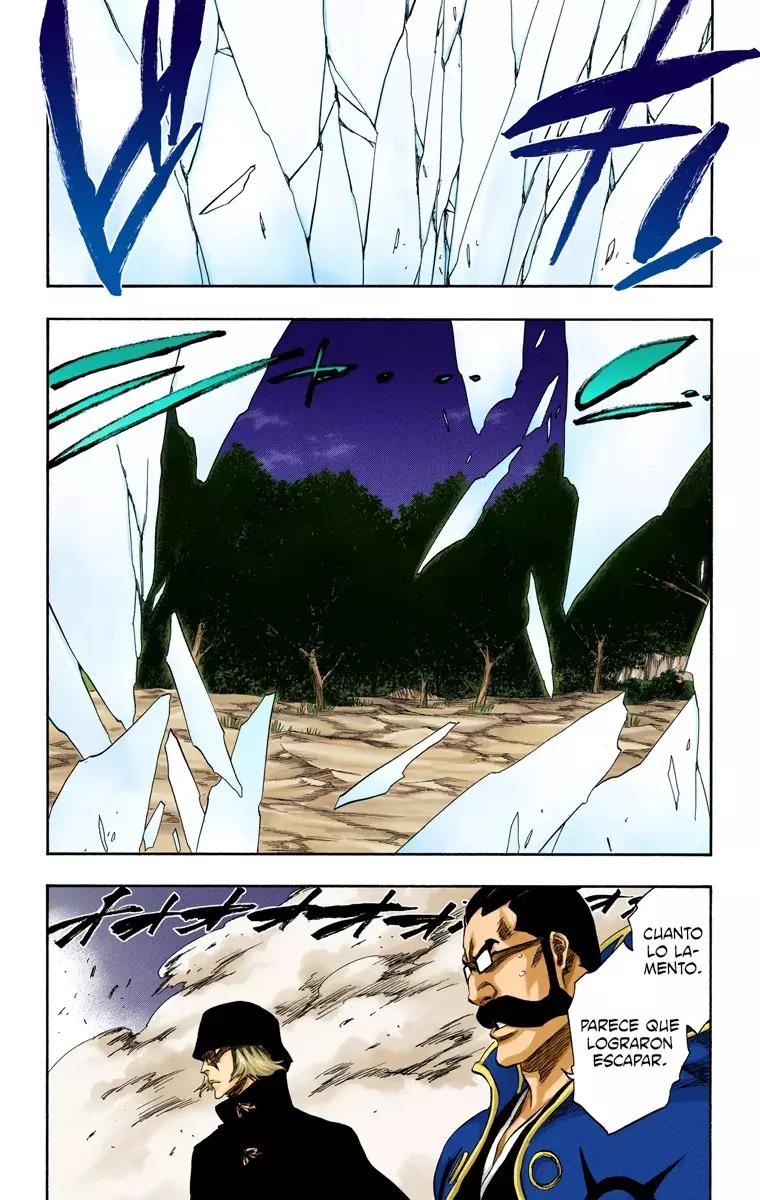 Bleach (Color) capítulo 315.96, página 14