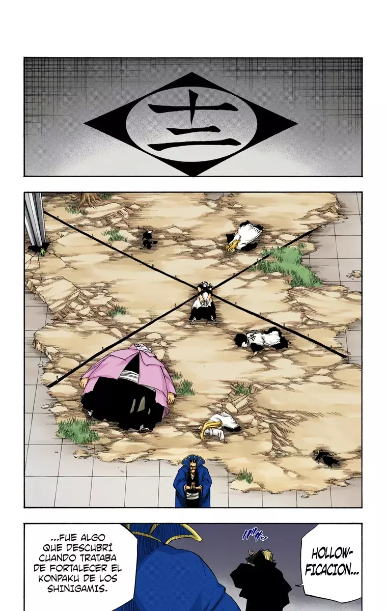 Bleach (Color) capítulo 315.96, página 18